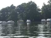 Wroxham Boat Trip